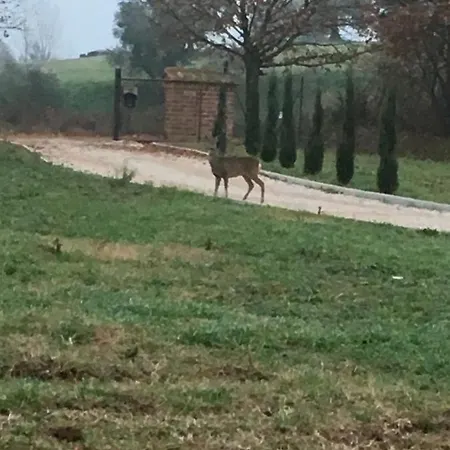 Podere Abbazia