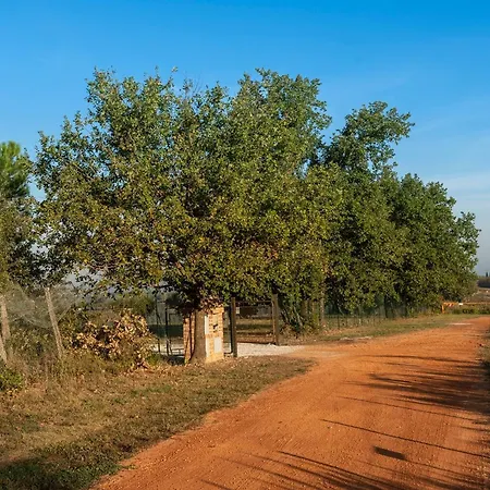 Bed & Breakfast Podere Abbazia 4*