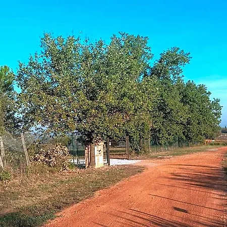 Podere Abbazia Frühstückspension Sinalunga