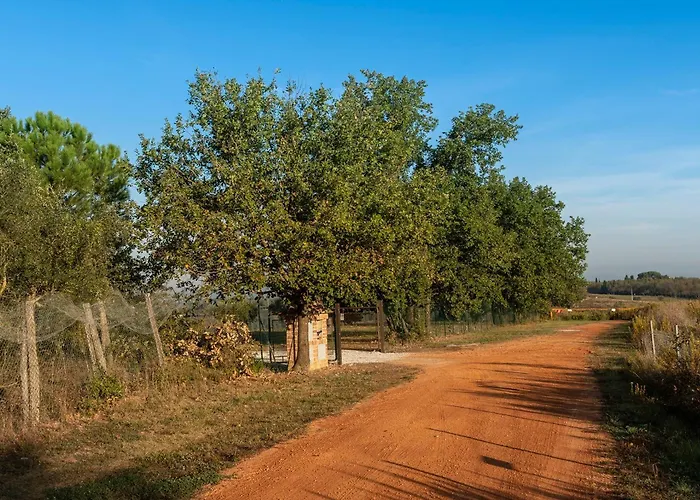 Alojamento de Acomodação e Pequeno-almoço Podere Abbazia 4*
