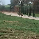 Podere Abbazia
